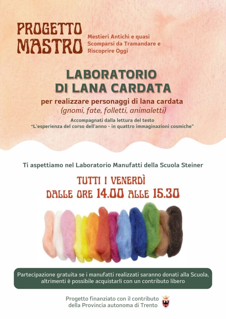 PROGETTO MASTRO - LANA CARDATA